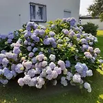 Apartman Reitbergs Nest *