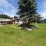 Reitbergs Nest *