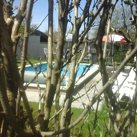 Reitbergs Nest Apartamento Eugendorf