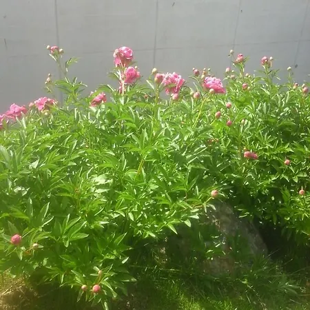 Apartamento Reitbergs Nest Eugendorf