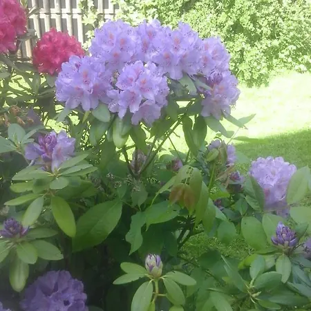 Reitbergs Nest Apartamento *