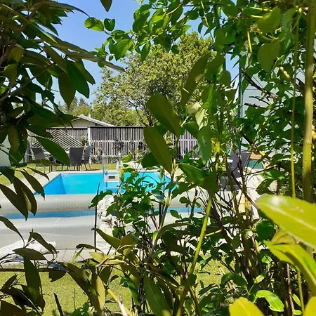 Apartamento Reitbergs Nest *