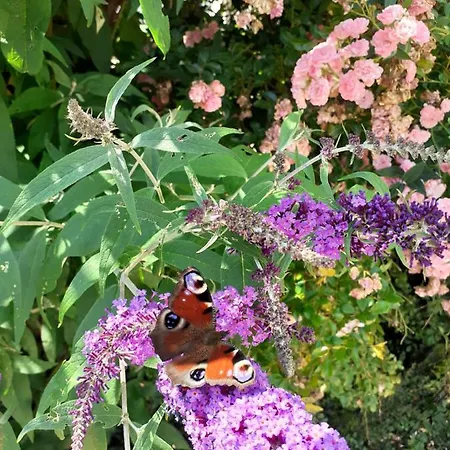 Reitbergs Nest Apartamento Eugendorf
