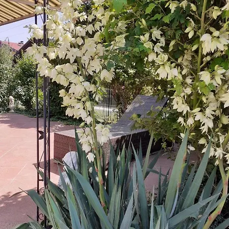 Apartamento Reitbergs Nest *