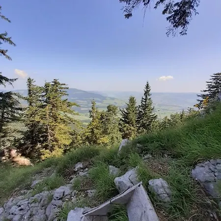 Apartamento Reitbergs Nest Eugendorf