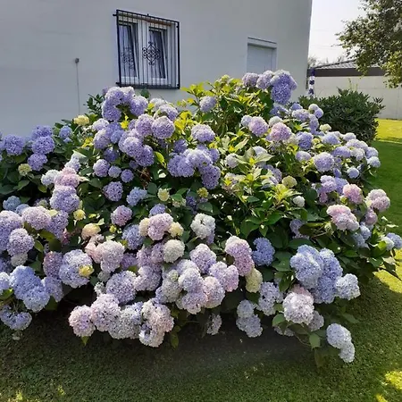 Apartamento Reitbergs Nest *