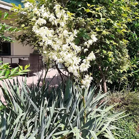 Apartamento Reitbergs Nest