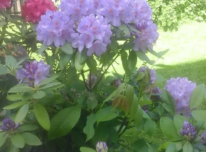 Reitbergs Nest Lägenhet *