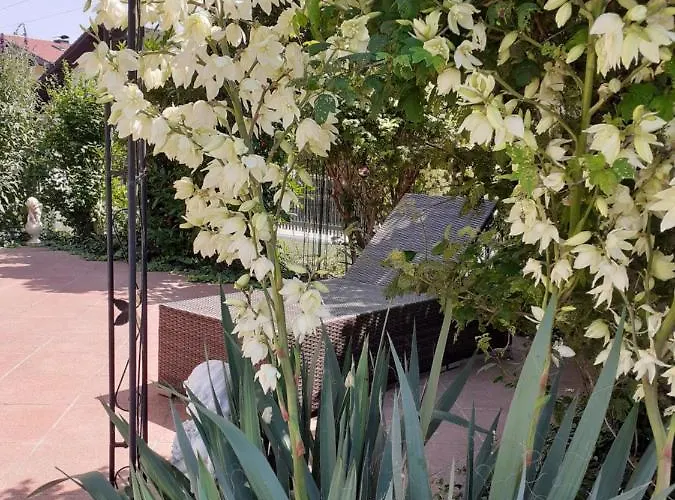 Appartamento Reitbergs Nest *