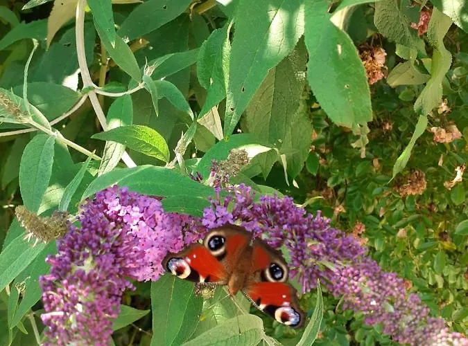 Reitbergs Nest * Eugendorf