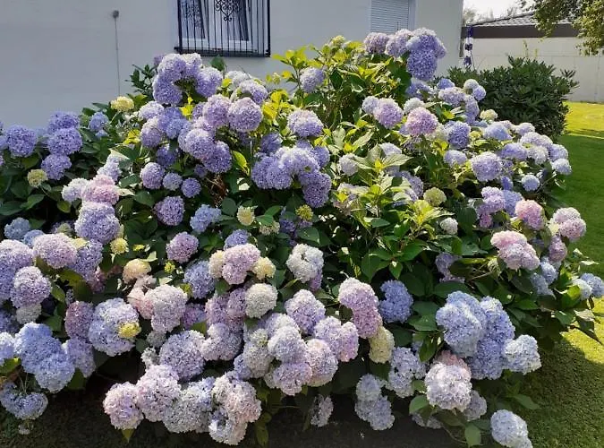 Appartamento Reitbergs Nest *