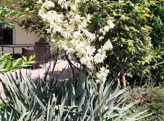 Lägenhet Reitbergs Nest