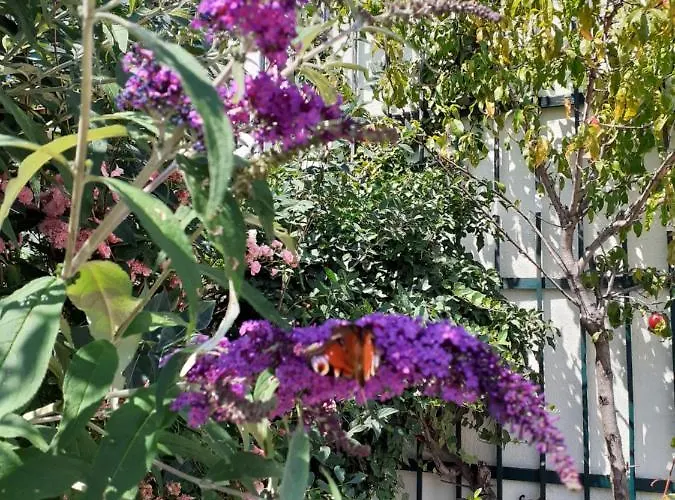 Reitbergs Nest Lägenhet Eugendorf