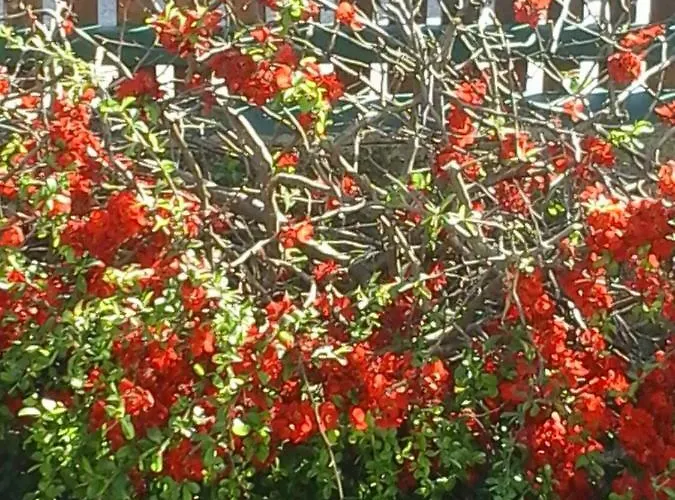 Reitbergs Nest Appartamento Eugendorf